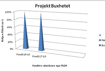 Paraqitja grafike e projekt-buxheteve në kohë.