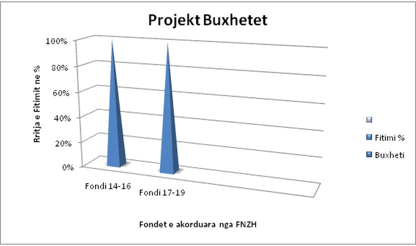 Paraqitja grafike e projekt-buxheteve në kohë.